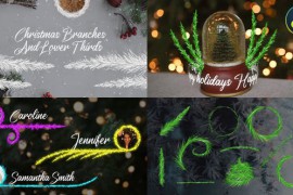 Christmas Branches And Lower Thirds for DaVinci Resolve 42291548