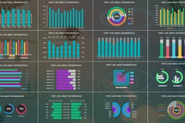 Infographic Graph 25744670