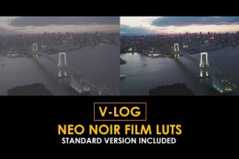 V-Log Neo Noir Film and Standard Color LUTs 51378304