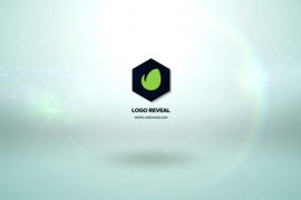 Modern Logo Reveal 12 Premiere Pro 48238601