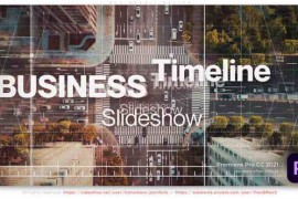 Business Timeline 56302208