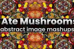 Free Download:Aescriprs I Ate Mushrooms v1.9.59
