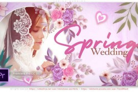 Spring Wedding 48093467