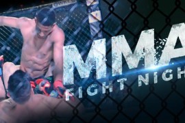MMA Fight Night 16081693