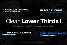 25 Clean Lower Thirds I 48108409
