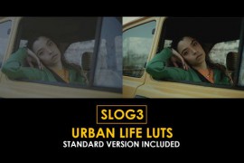 Slog3 Urban Life and Standard Color LUTs 50931396