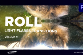 Light Flares Roll Transitions Vol. 01 for Premiere Pro 47398392