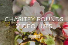 Chasitey Pounds Video LUTs  - Filtergrade