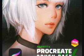 ASUKA111’s Brush pack for Procreate v5