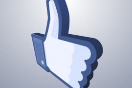 Facebook 21693817