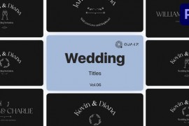 Wedding Titles for Premiere Pro Vol. 06 49000029