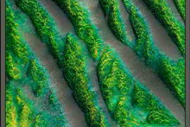 Rubicon Factory Percussion WAV