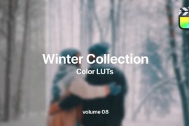 Winter LUTs Collection Vol. 08 50022407