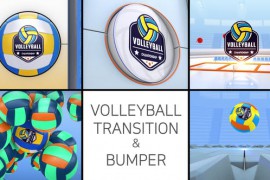 Volleyball Logo Transition & Bumper 48021862