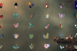Cartoon Flowers Liquid Motion for After Effects 44284351
