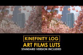Kinefinity Log Art Films and Standard Color LUTs 50878290