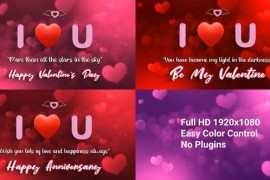 Valentine's Day 50501270