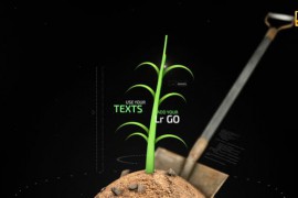 Organic Growth 33212519