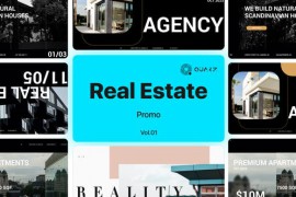 Real Estate Promo Vol. 01 48999927