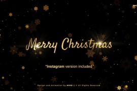 Christmas Wishes 42299615