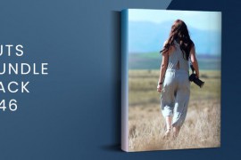 LUTs Bundle Pack V46 47291740