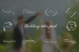 Wedding Titles Pack / MOGRT 50262284