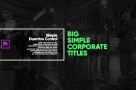 Big Simple Text Titles I Premiere Pro 48668838