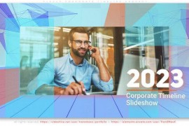 Plexus Corporate Timeline Project 44640304