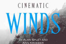 Pro Sound Effects Cinematic Winds WAV