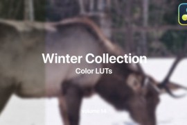 Winter LUTs Collection Vol. 14 49984129