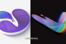 Logo Reveal 42206849