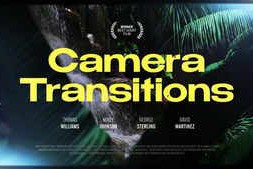 Free Download:Camera Transitions 63462048