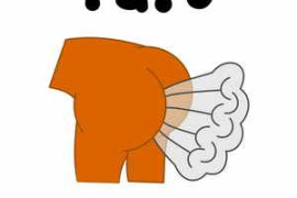 Fart Sound Effects Text Tones and Ringtones WAV