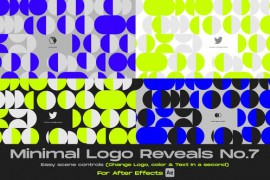 Minimal Logo Reveal 07 43567471