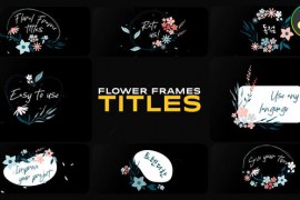 Flower Frames Titles for DaVinci Resolve 50381823