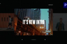 Short Intro for Premiere Pro 43156711
