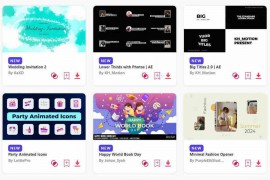 2024.4.24.47.Set.AE.Templates