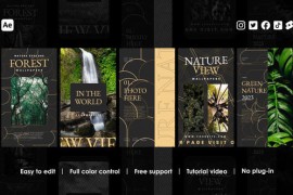 Nature Instagram Reels 48775345