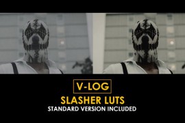 V-Log Slasher and Standard Color LUTs 51303298