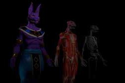 Udemy – How to sculpt a character in Blender using anatomy