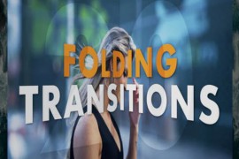 Folding Transitions 44544584