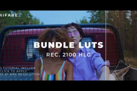 Bundle Luts Rec. 2100 HLG 43779642