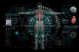 HUD Info Medical 4 43929122