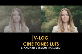 V-Log Cine Tones and Standard Color LUTs 51303424