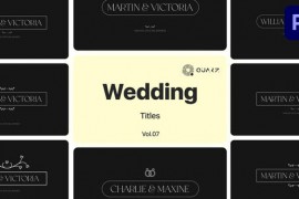 Wedding Titles for Premiere Pro Vol. 07 49000031