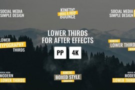 Lower Thirds 4.0 | Premiere Pro 46973069