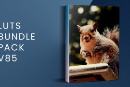 LUTs Bundle Pack V85 | DaVinci Resolve 49751196
