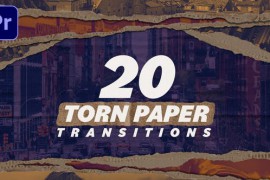 Paper Transitions 46175129