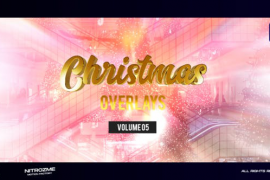 Christmas Overlays Vol. 05 for Premiere Pro 49585394