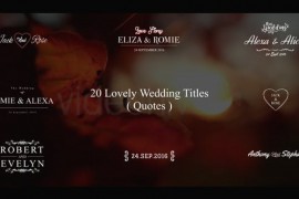 Lovely Wedding Titles Vol 4 18755539